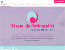 Tablet Screenshot of perinatbn.org